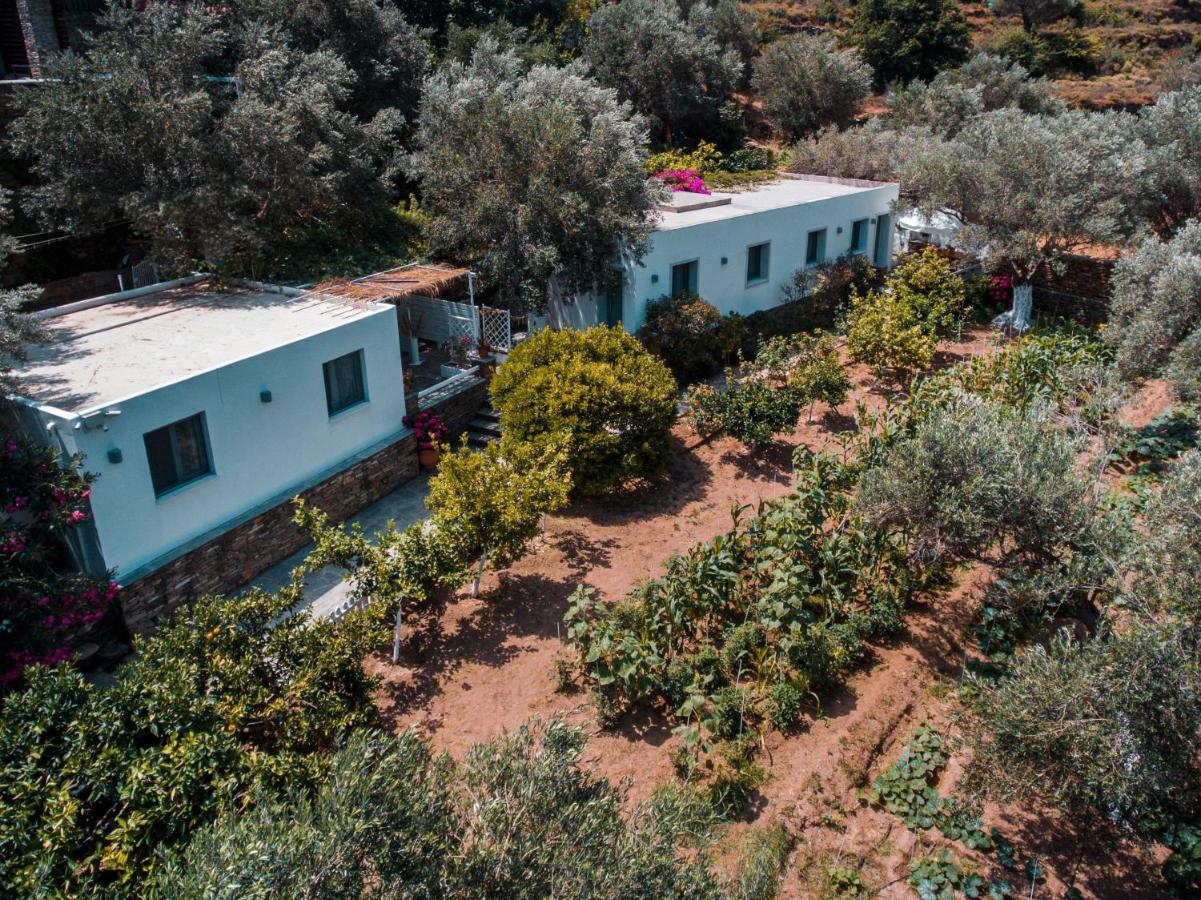 Small Paradise Andros Town Bagian luar foto