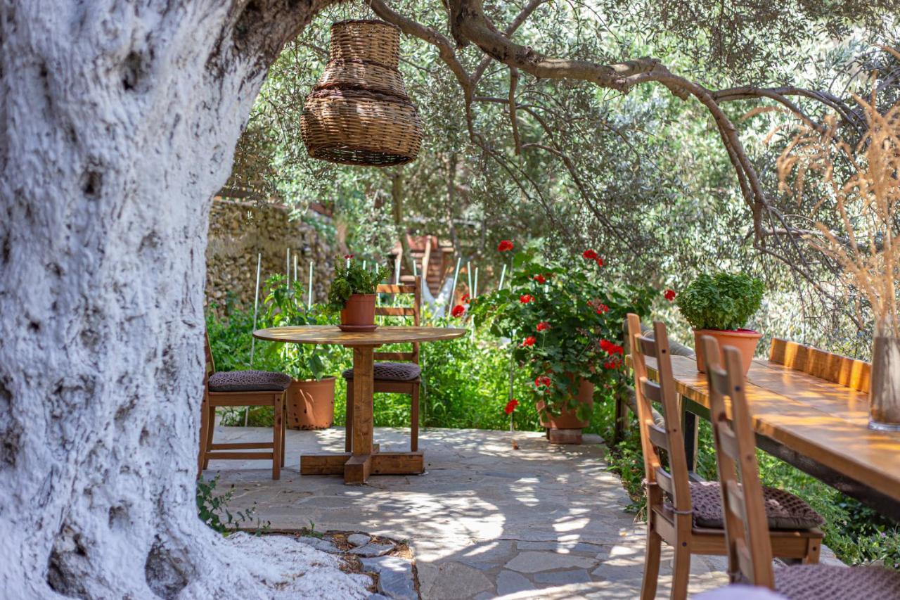 Small Paradise Andros Town Bagian luar foto
